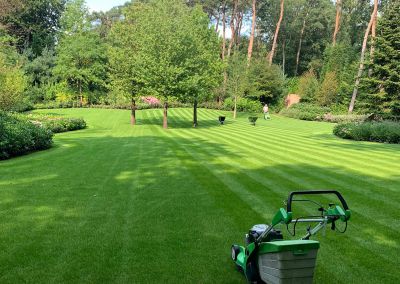 Tuinonderhoud Tuinonderhoud